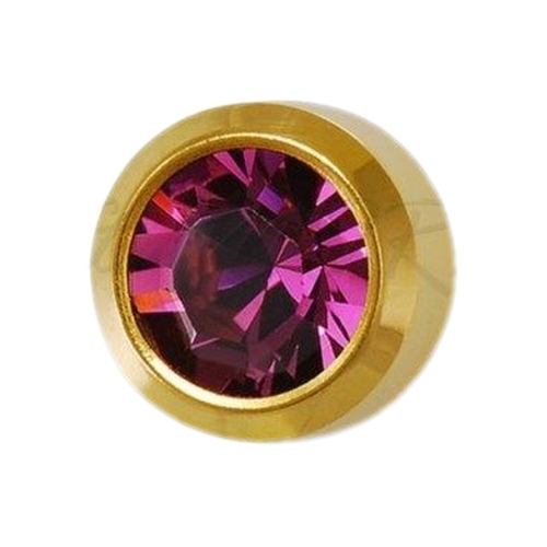Cercei Studex Amethyst - February - GOLD BIG