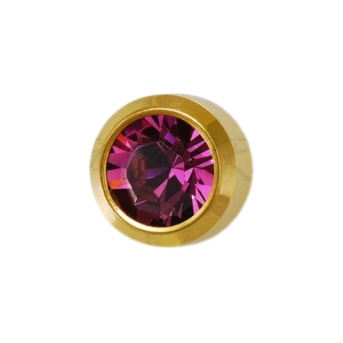 Cercei Studex Amethyst - February - Gold Mini