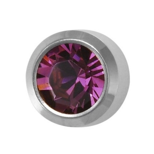 Cercei Studex Amethyst - February - BIG