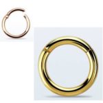 Segment Gold 1x8mm - Tip 3