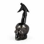 Pulverizator craniu