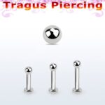 Tragus 1.2 x 8 x 2.5